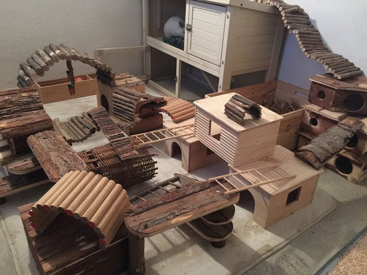 Giochi e attività per stimolare il tuo coniglio: idee per intrattenere e mantenere attivo il tuo coniglio, suggerimenti giochi fai da te e attività quotidiane