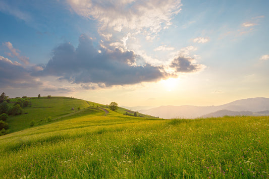 🍃Come viene lavorato il fieno per conigli di NaturalBite ? 🐰
