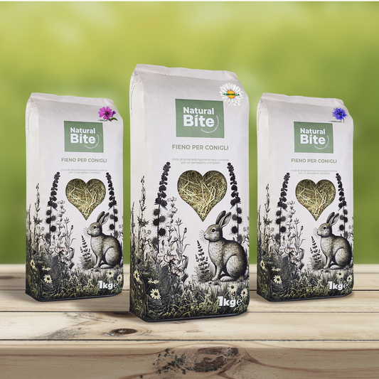 Convenience Box FIOR DI BONTA' 3 Kg